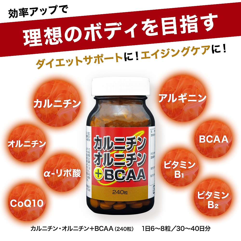 95％以上節約 カルニチン オルニチン BCAA 240粒×12個セット 約360〜480日分 送料無料 宅配便 ダイエット サプリ サプリメント  ダイエット食品 ダイエットサプリメント 男性 女性 強力 Lカルニチン αリポ酸 粒 タブレット まとめ買い fucoa.cl