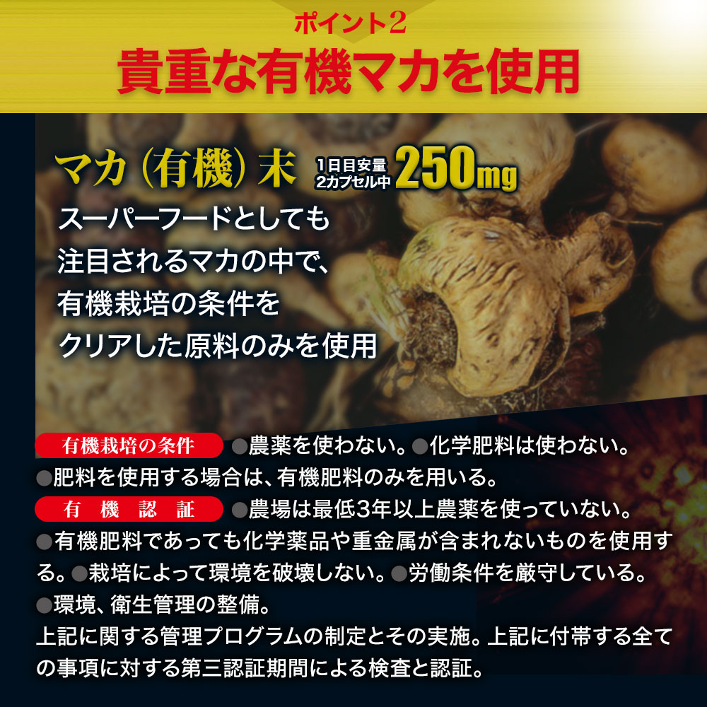 11周年記念イベントが 徳用超力精 84カプセル×6個セット 約252日分 送料無料 メール便 マカ maka マカサプリメント マカサプリ  オーガニック シトルリン トンカットアリ ムクナ 亜鉛 酵母 亜鉛サプリ ミネラル サプリ サプリメント 粒 男性 女性 有機マカ 有機マカ粒 有機  ...