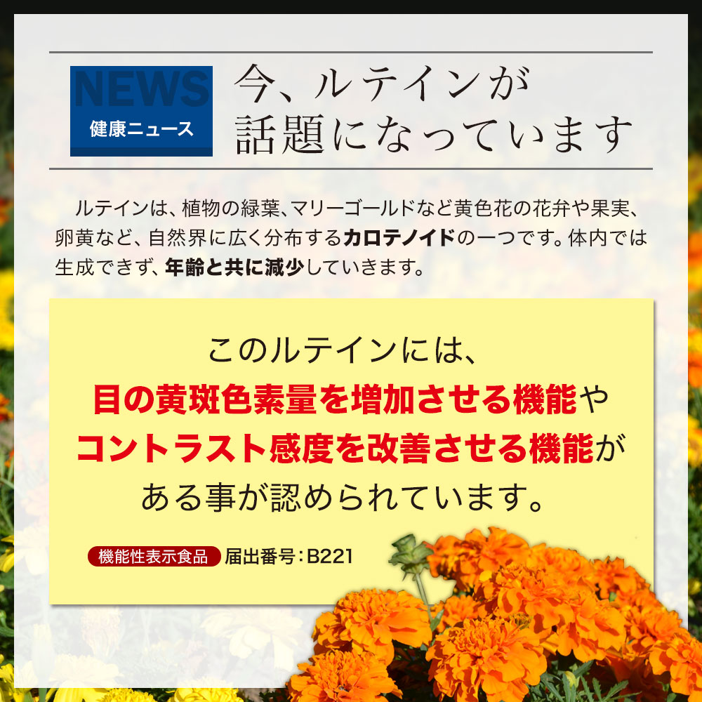 楽天市場 ルテイン サプリメント 機能性表示食品 60粒 6個セット 約180日分 送料無料 宅配便 機能性表示食品ルテイン Dha ビタミンｅ マリーゴールド色素 ヘマトコッカス藻 ビタミンb群 Bカロテン まとめ買い ラッキーシール 健康食品と馬油専門店 ユウキ製薬