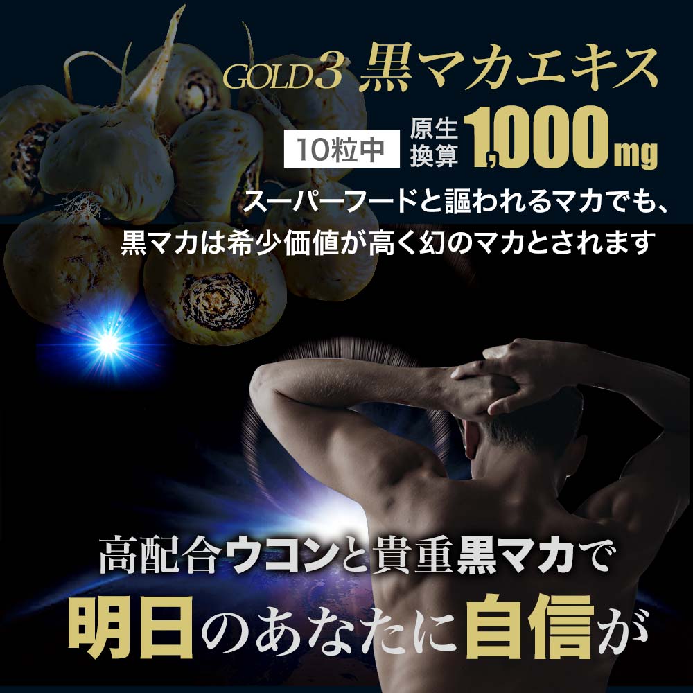 パーティを彩るご馳走や 黒マカ ウコンEX 200粒×12個セット 約240〜300日分 送料無料 宅配便 マカ maka マカサプリ 秋ウコン  ウコン うこん クルクミン 精力剤 などの 薬 が 不安な方に サプリ サプリメント 男性 女性 マカサプリメント ウコンサプリ まとめ買い  fucoa.cl