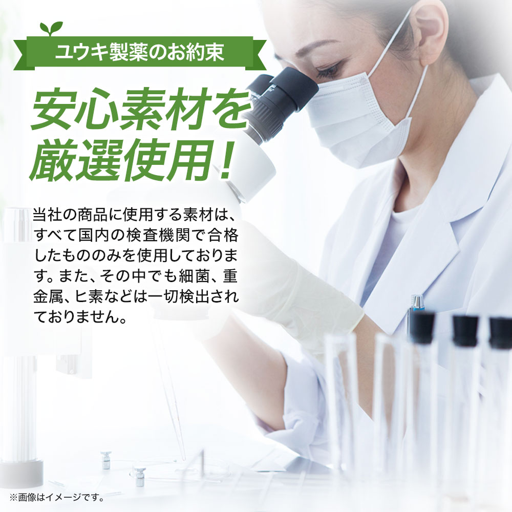 【リピーター様限定】カロストップα132粒×3個セット約63〜78日分送料無料メール便|ダイエットサプリサプリメントダイエット食品ダイエットサプリメント男性女性Lカルニチンキトサンギムネマ難消化性デキストリンまとめ買い