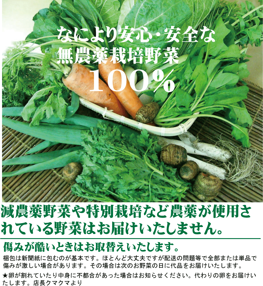 零農薬 ピンクたまねぎ 10 給水の童子会同 熊本県八代郡 無農薬 無補充 Fintvbg Com