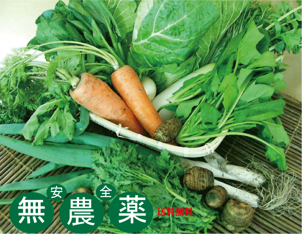 無農薬100％・旬の新鮮野菜セット（約７品目）（送料無料・月、金曜日発送）★有機家の長年の人気野菜セット★卵同梱セットや牛乳同梱セットも有ります。