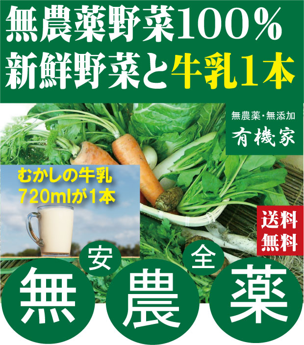 市場 オーガニック野菜のセット 健康 詰合せ 送料無料 旬 8〜10品目