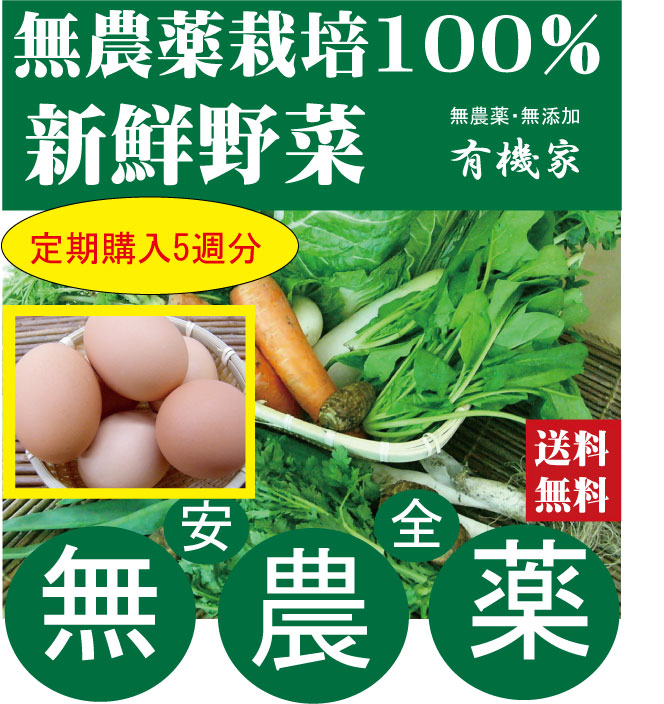 楽天市場】旬の無農薬100％野菜セットと平飼い卵10個セット （送料無料