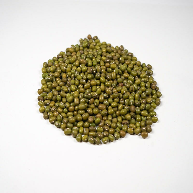 有機ムング豆 （業務用）２４ｋｇ★緑豆★有機海外認証　原産国　アメリカ｜有機家