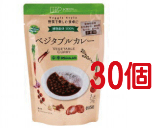 レトルトカレー 無添加 ベジタブルカレーREGULAR(中辛)(レトルト) 210g【30個】★送料無料★動物性原料不使用カレー★1袋200カロリー|有機家