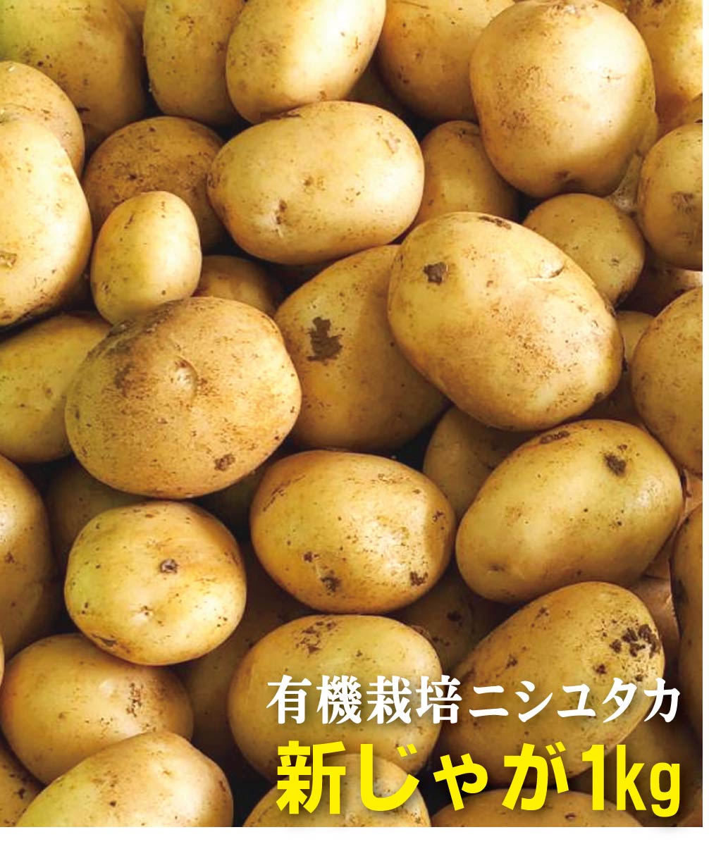 10kg-top.jpg