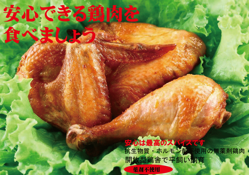 鶏ムネチップス2味セット（30g×2袋）  [まつや] ダイエット 鶏むねチップス タンパク質 クリーンバルク ボディビル ナチュラル 国産鶏 DHA 大豆 米ぬか サルコペニア 筋肉量減少予防