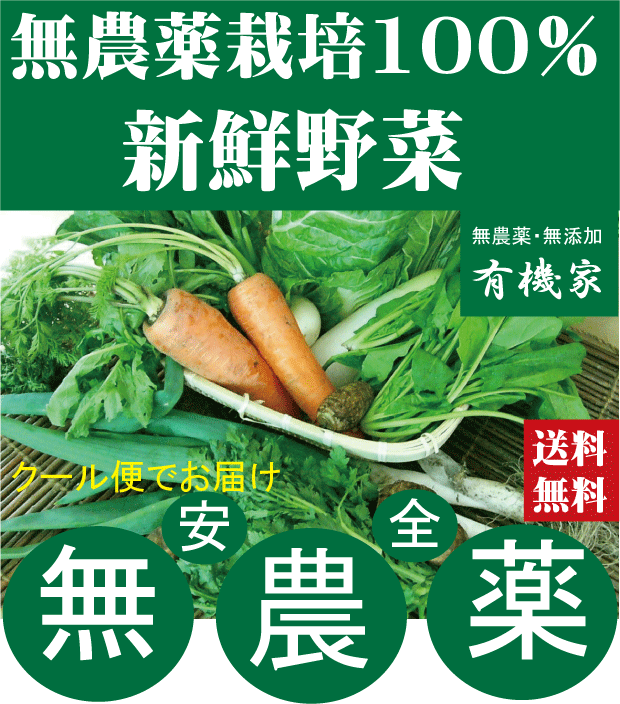 【楽天市場】無農薬100％・旬の新鮮野菜セット（約７品目）（送料