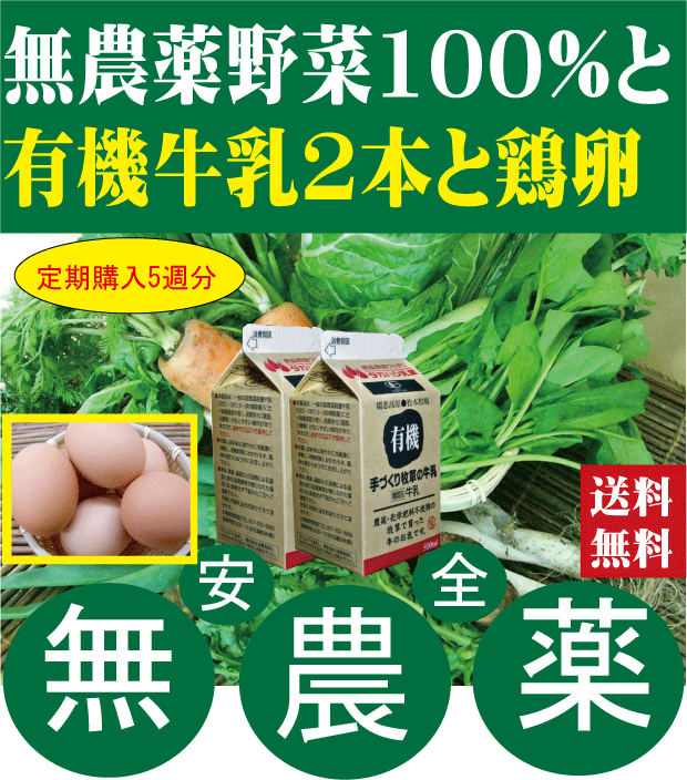 【楽天市場】無農薬100％・旬の新鮮野菜セット（約７品目）（送料