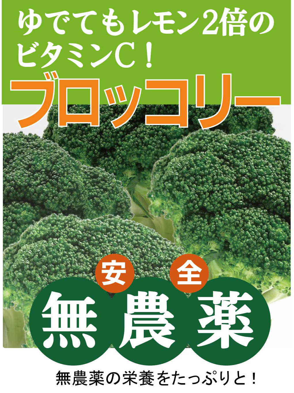 1582円 今だけスーパーセール限定 有機栽培 ごぼう茶 2g×40包 お