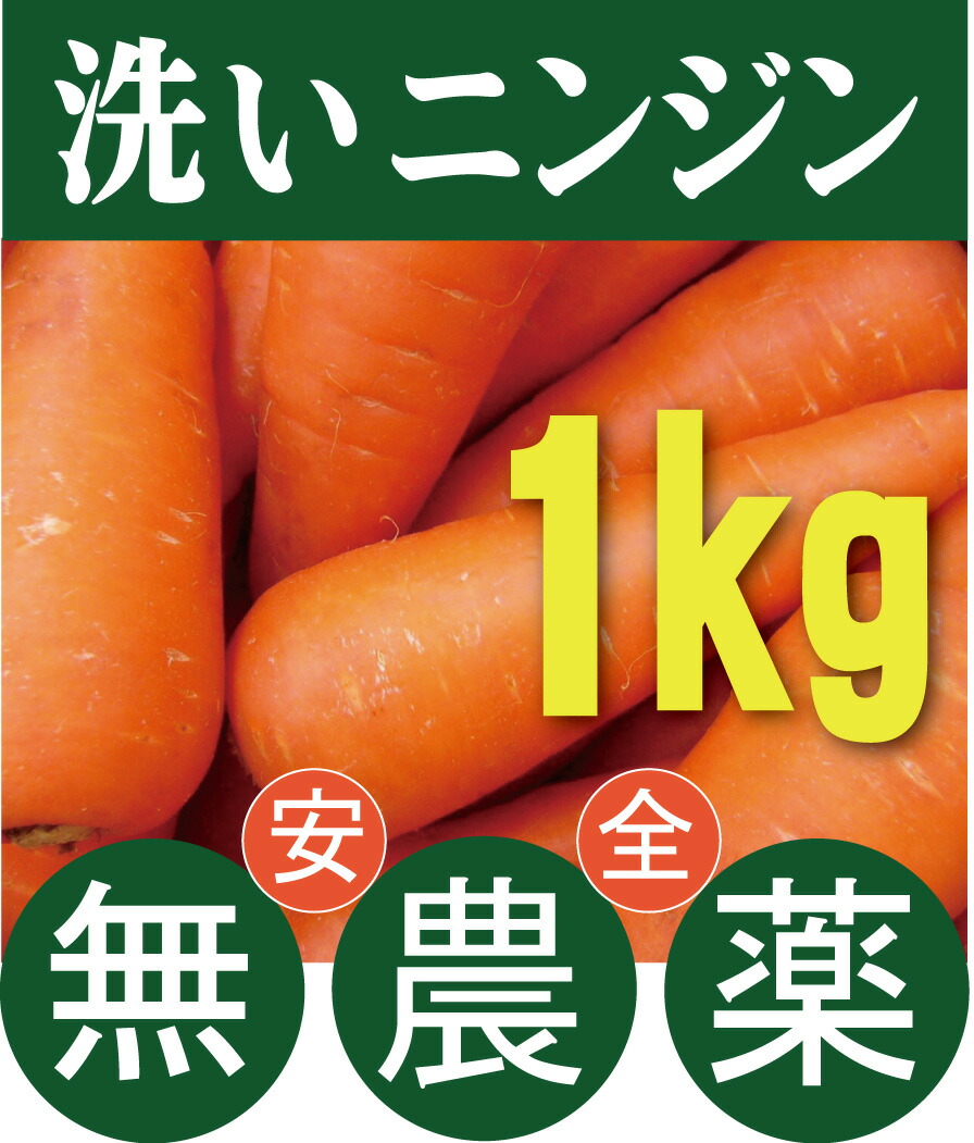 送料無料限定セール中 平飼い卵 飼料に抗生物質 遺伝子組み換え穀物不使用 放射線検査済 内閣総理大臣賞受賞農場 信州 たまご山ランド fucoa.cl