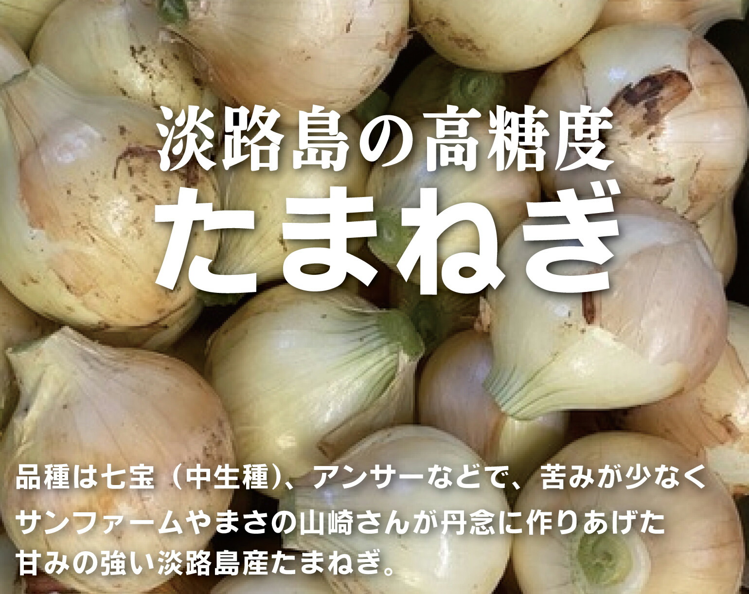 市場 無農薬玉ねぎ 淡路のたまねぎ５kｇ