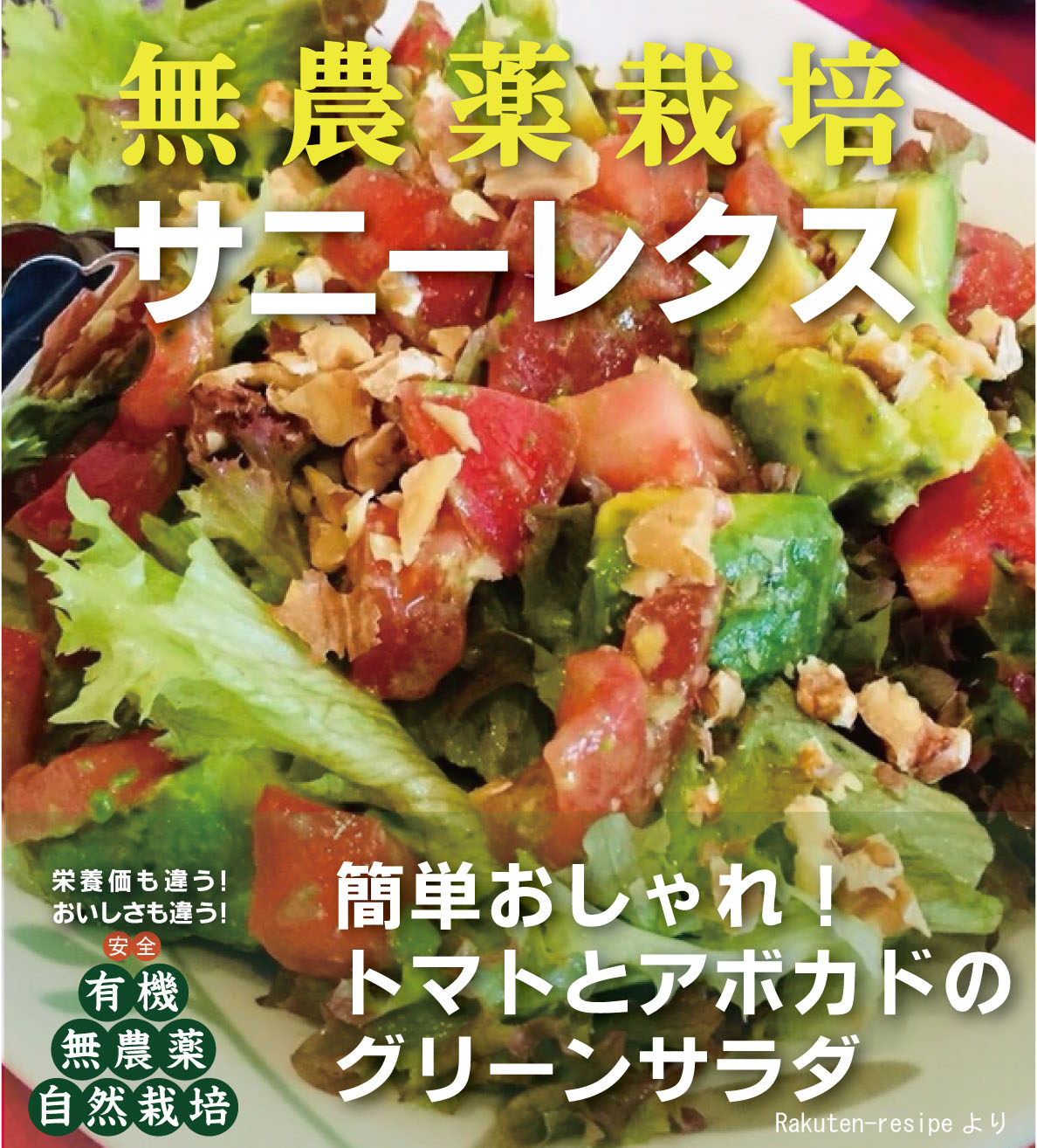 市場 無農薬サニーレタス１パック 1 ２束