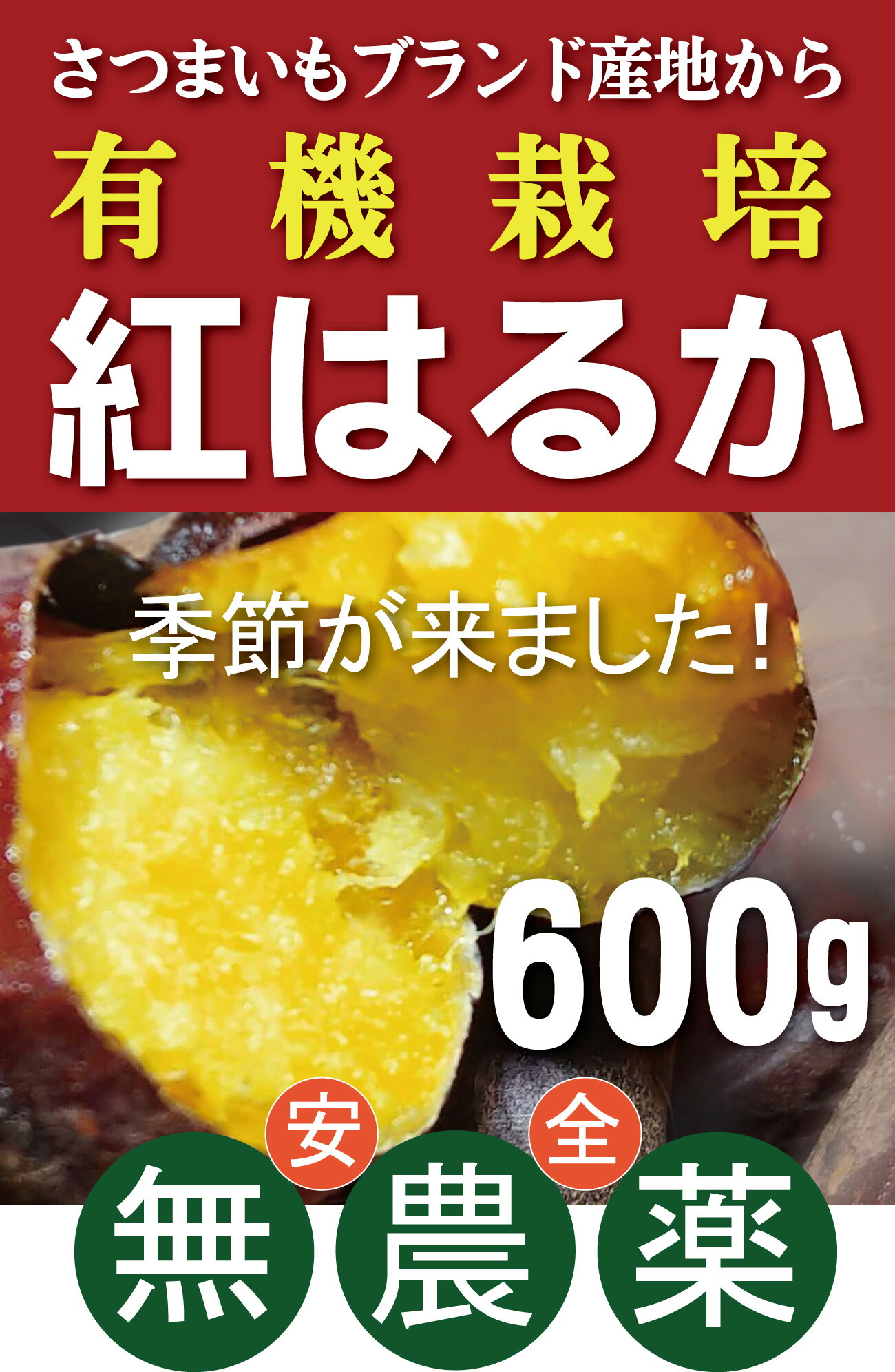 楽天市場】平飼い卵【30個】☆飼料に抗生物質・遺伝子組み換え穀物不使用☆放射線検査済☆内閣総理大臣賞受賞農場・信州・たまご山ランド : 有機家