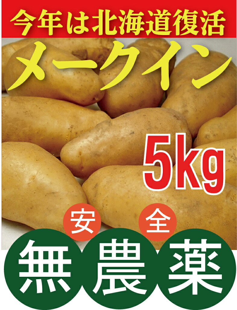 新じゃが 無農薬じゃがいも メークイン５ｋｇ 北海道産新じゃがいも 無農薬 無添加芽止め処理無し 新品 送料無料