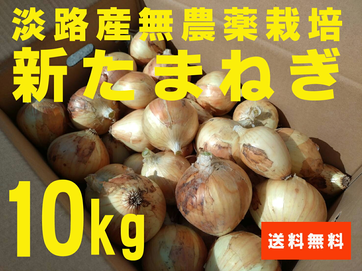 無農薬新玉ねぎ　淡路のたまねぎ１０kｇ＜送料無料＞※同梱不可 ★無農薬・無添加 ★兵庫県淡路島産