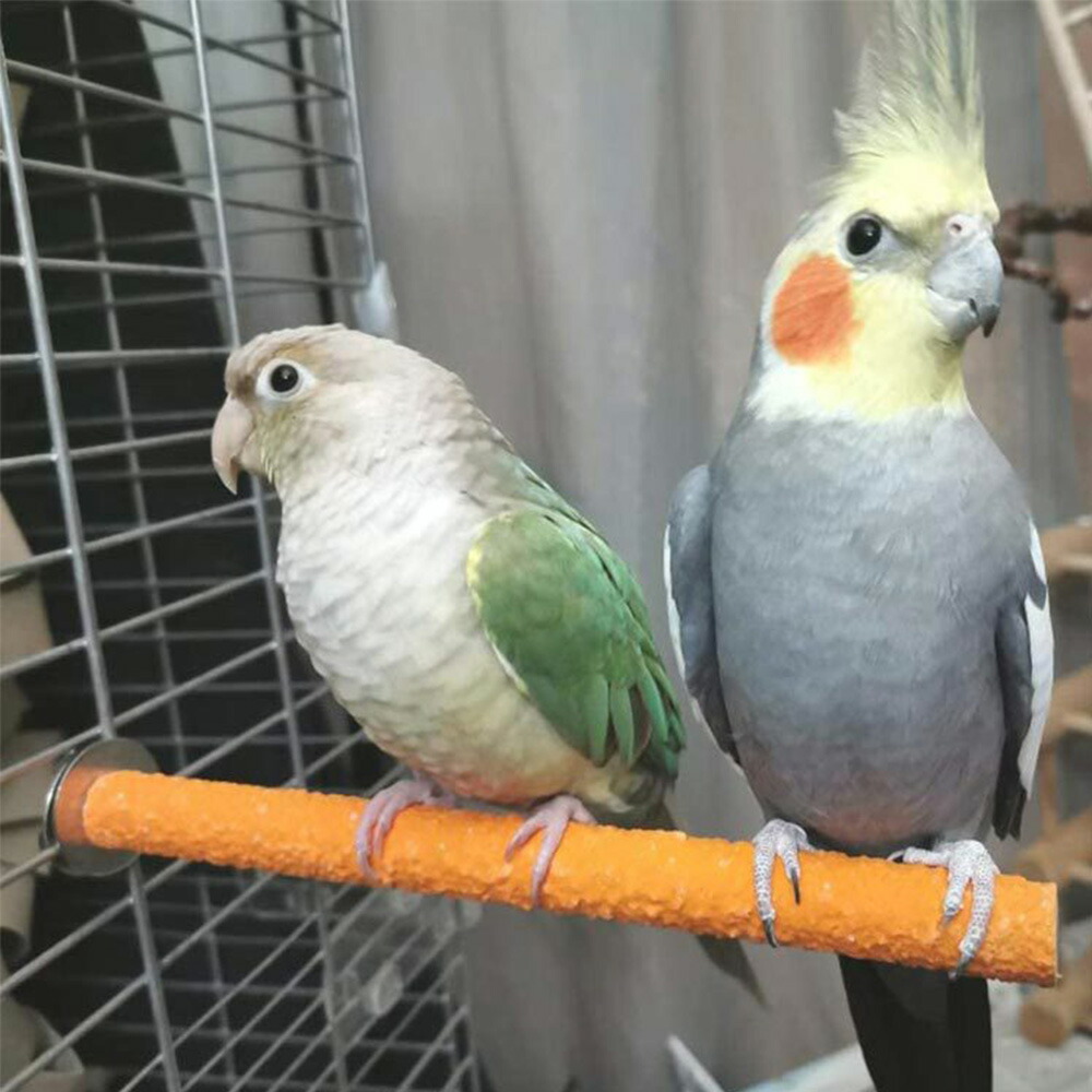 新しい季節 インコ おもちゃ バードトイ 鳥おもちゃ 鳥グッズ 鳥の遊び場 吊下げタイプ玩具 セキセイインコ かじり木 鈴 鳥 オウム セキセイ はしご  ラダー 秋千 木製ブロック ラタンボール ケージ 飾り 天然木 噛む玩具 ストレス解消 qdtek.vn