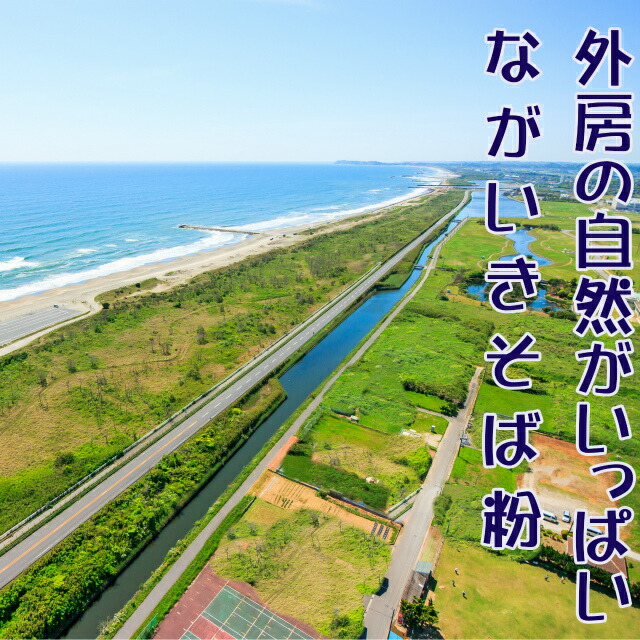 手打ちそばセットポイント2倍同割4人前2回分初めて簡単歯ごたえ家族で楽しむ年越しそば練習子育て応援楽しい思い出手作り送料無料そばがき