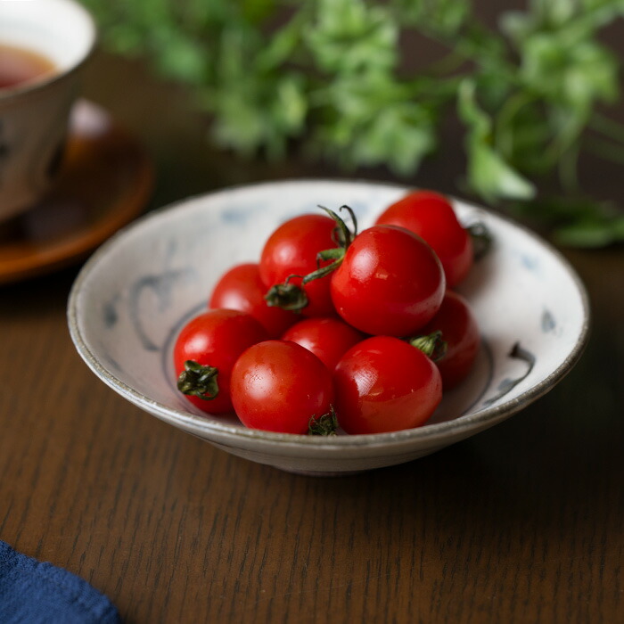 楽天市場】安南ボウル中（KIA-119） 作家「荒木漢一」 : うつわや悠々