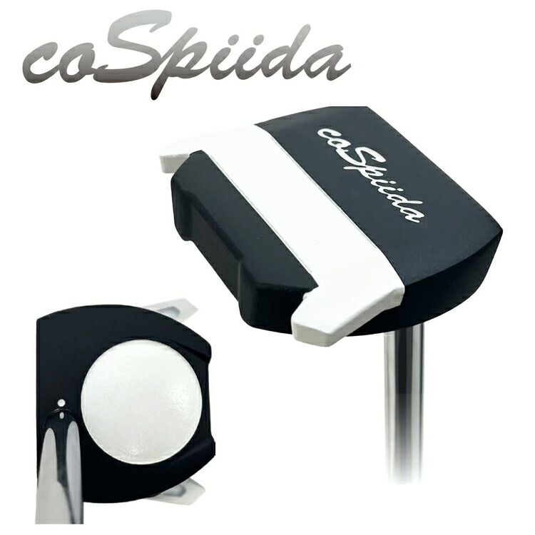 楽天市場】Lynx リンクス TRANSAM トランザム キャッシュインパター