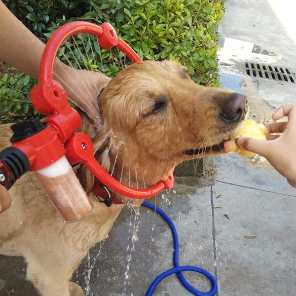 360度シャワーヘッド ペットシャワー ペットウォッシャー ペット風呂 噴霧器シャワー 犬猫入浴 全身 簡単シャンプー 360度シャワーヘッド ペット シャワー ペットウォッシャー ペット風呂 噴霧器シャワー 犬猫入浴 全身 Kossacklaw Com