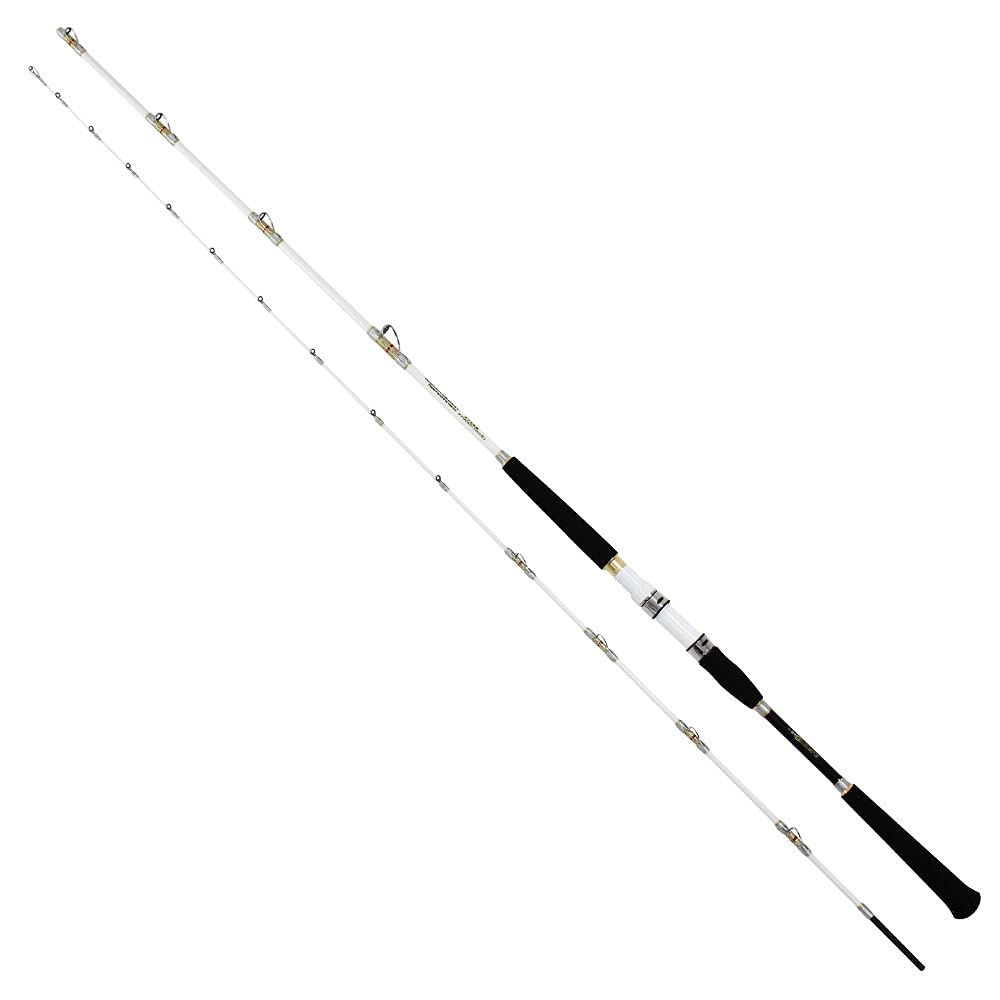 釣り竿 船竿 メンズ 300珊 154珊 2pcs 208g 2.05粍 11.1粍