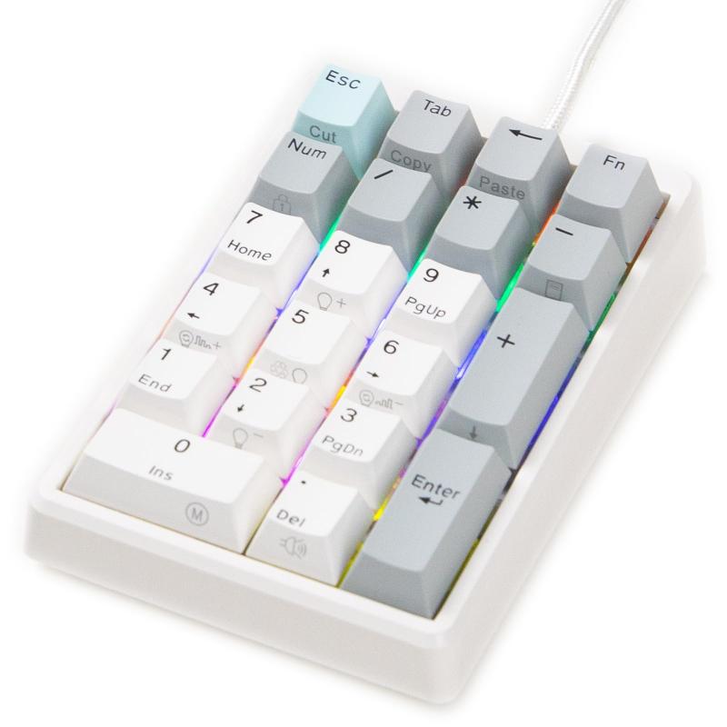 NiZテンキー EC21-1M 【バックライト付き】21キー 有線 数字キーボード Cherry MX軸 専用ソフトウェア付き キーボードカスタマイズ可能 オフィス/プログラムモード 静電容量無接点方式 静音 キー