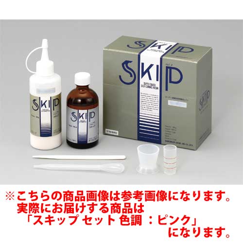 医療機器 義歯床補修用レジン スキップ セット 色調 ：ピンク 粉100g、液100mL 亀水化学工業 6,937円