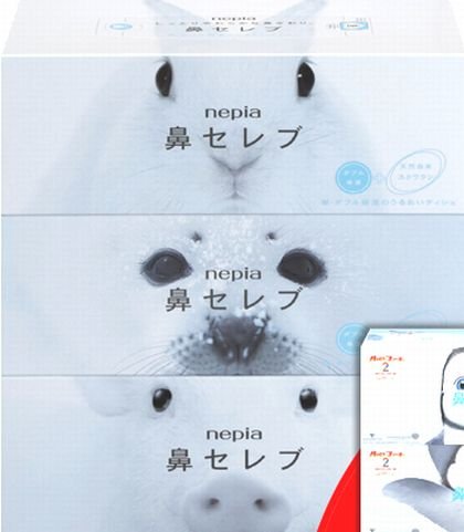 ネピア 鼻セレブティシュボックス ２００組／箱 １書き割り（３０箱：３箱×１０容器に並べる） 大公ネピア#
