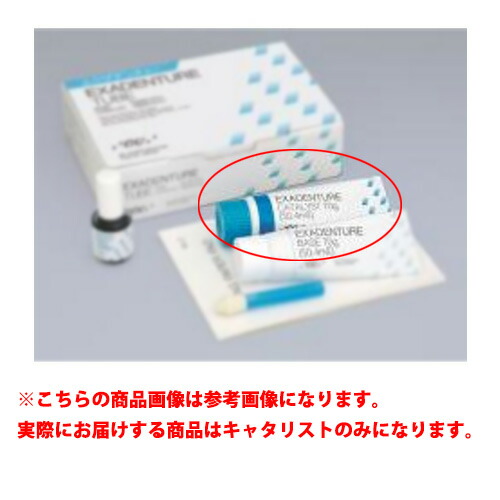 楽天市場】医療機器 エクザファイン パテ 1-1パック 1セット GC
