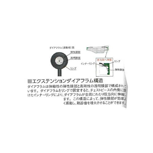 再販ご予約限定送料無料 聴診器 ティーエスフォネット ハンターグリーン No 132 ケンツメディコ Fucoa Cl 再販ご予約限定送料無料 聴診器 ティーエスフォネット ハンターグリーン No 132 ケンツメディコ Fucoa Cl