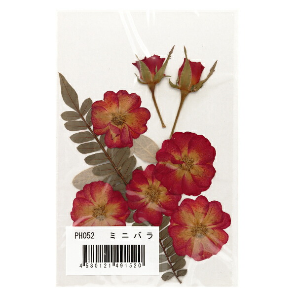 週間売れ筋 押し花キット つみたて花パック ミニバラ Ph052 Davidnesher Com Ar