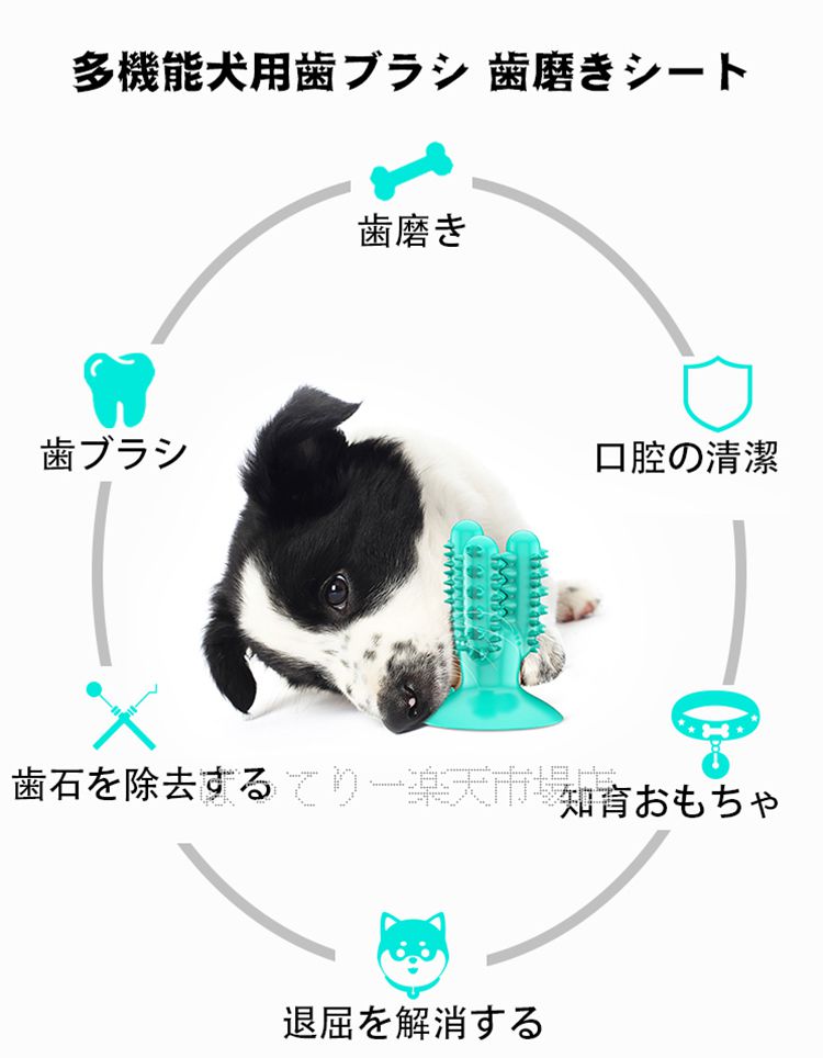 楽天市場 サボテン型 犬用歯ブラシ 歯磨きシート 犬用おもちゃ 噛むおもちゃ 無毒無臭 耐久性 中型 大型犬対応 発声おもちゃ 口腔の清潔 犬の健康ケアに ばってりー 楽天市場店