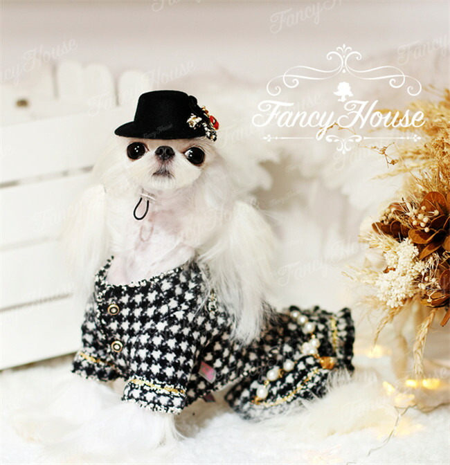新品即決 送料無料 チドリ柄 千鳥格子の高級感ありｃｃ風ワンピース コート４点セット 小型犬用 セール トイプードル パピヨン チワワ ヨーキー 春夏新作 犬ウェア 犬 服 可愛い 超特価激安 Lexusoman Com