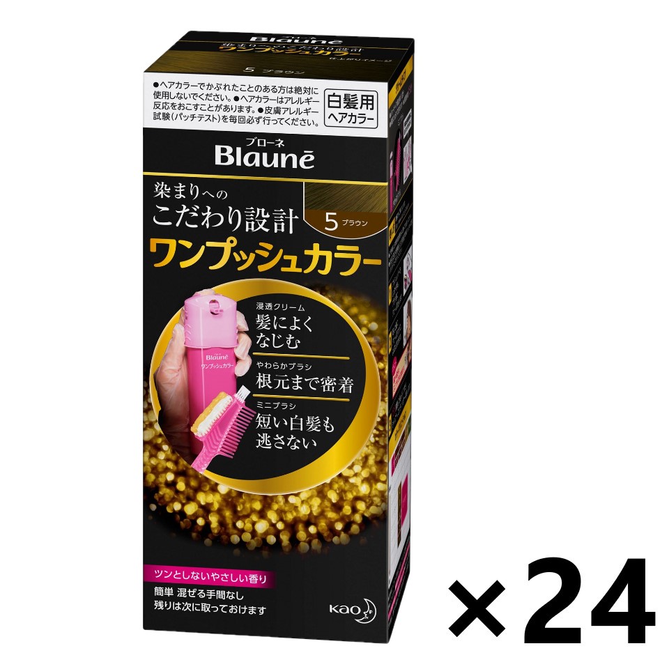【送料無料】ブローネ ワンプッシュカラー 5:ブラウン 80gx24個 花王