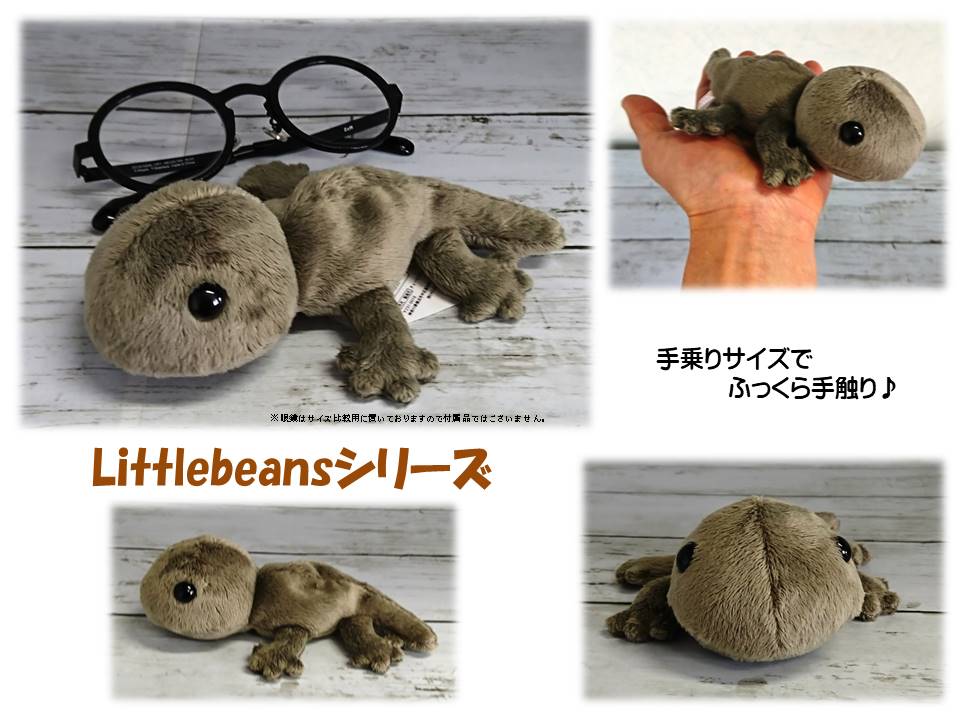 楽天市場 Little ｂeans ヤモリ ｙｙ ｓｈｏｐ ぬいぐるみ専門店