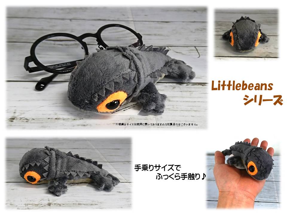 楽天市場】【TST リトルビーンズ アカメカブトトカゲ ぬいぐるみ