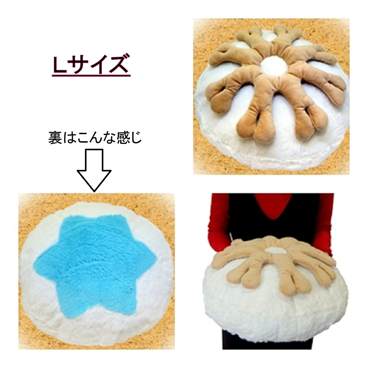 サカサクラゲ(Ｌ)