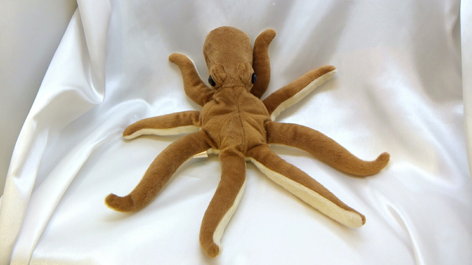 高品質 H01 かわいい 服がない のぬいぐるみ ステラルー その他 Labelians Fr