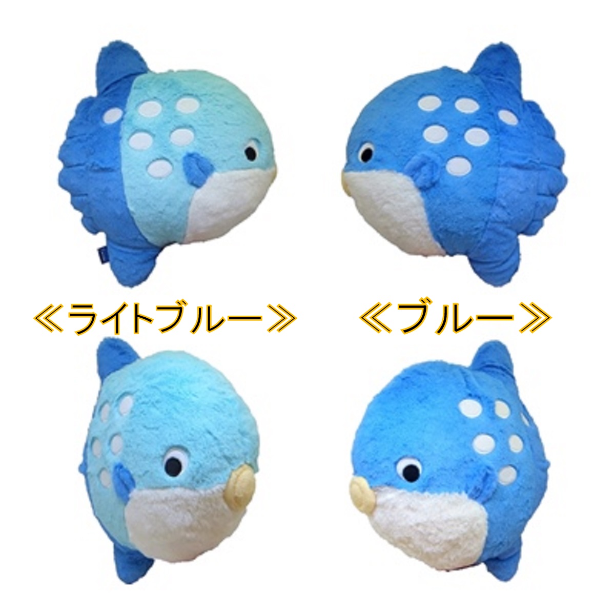 まんぼうぬいぐるみBIG Amazon.co.jp: チキチキマンボウ ウルトラBIG ぬいぐるみ ぼーこ