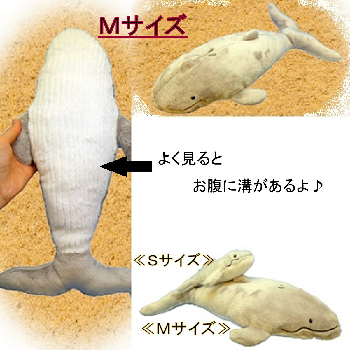 楽天市場】ZAK 深海生物 海洋堂 シーラカンス : amax 楽天市場店