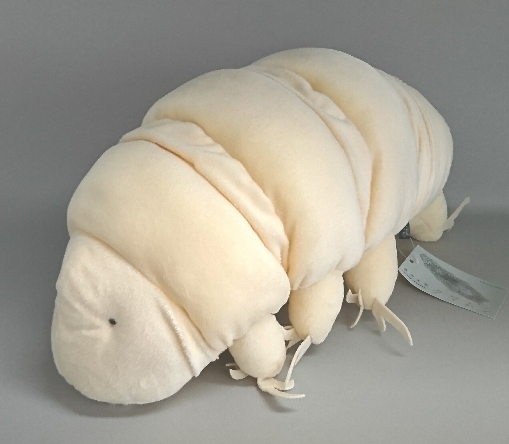 楽天市場】最強生物 クマムシL サイズ:30cm Water bear