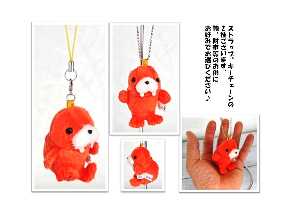 楽天市場】【COBE COBE】ブーナスxCOBE ストラップセット