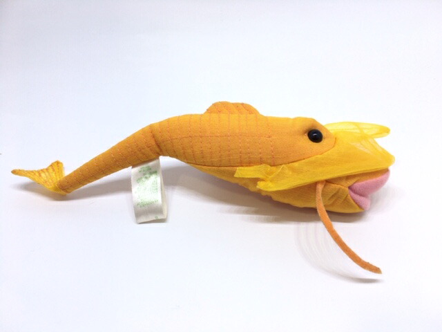 楽天市場】しんかいさん ニュウドウカジカ(X) : YY SHOP