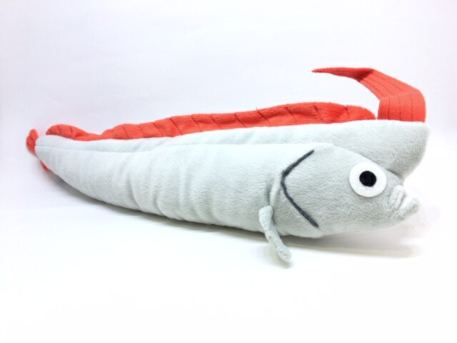 カドイカさん　ぬいぐるみ サンエックス すみっコぐらし ぬいぐるみML とかげ 約30cm L