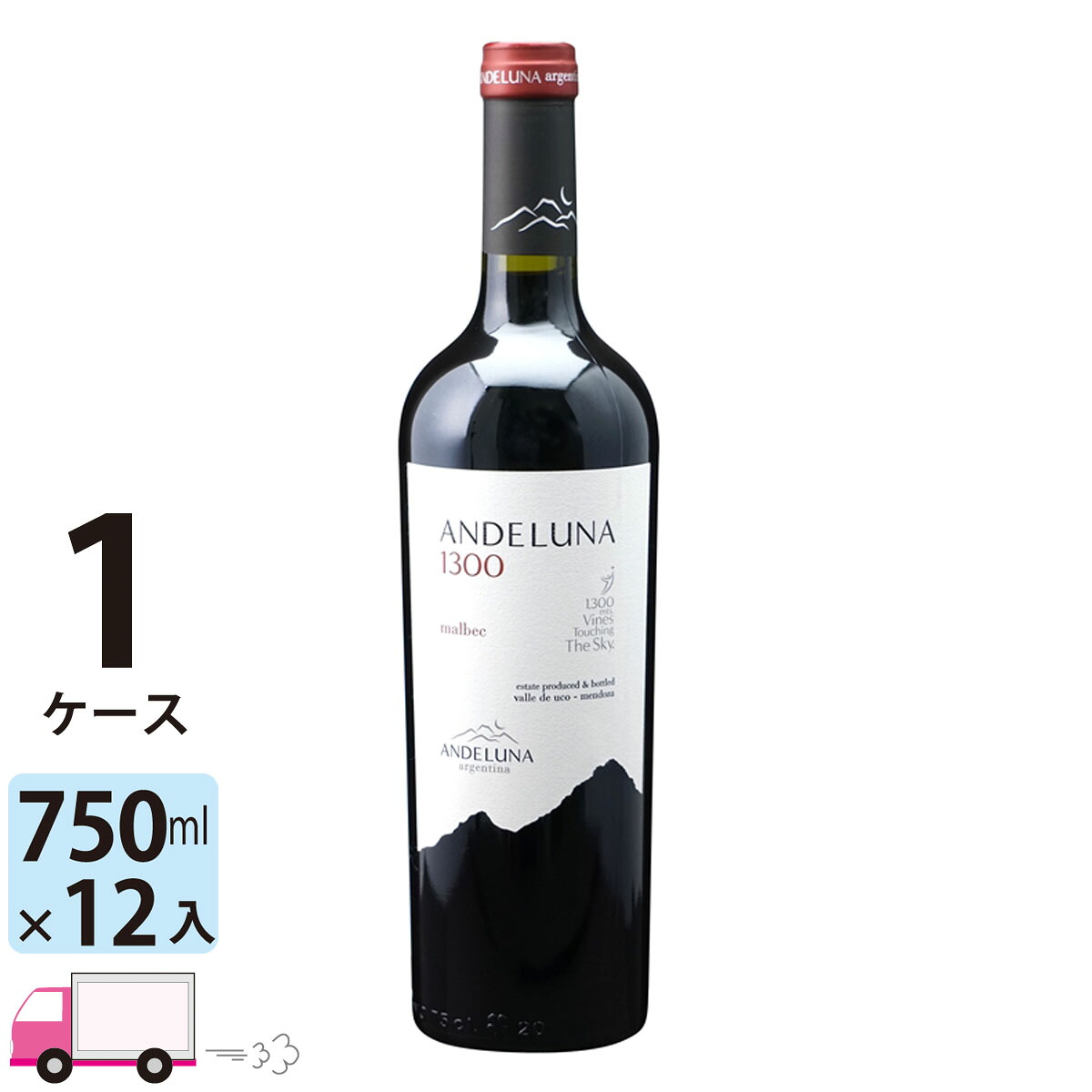 【ポイント5倍】【送料無料】 アンデルーナ マルベック [A119] 1ケース(12本)