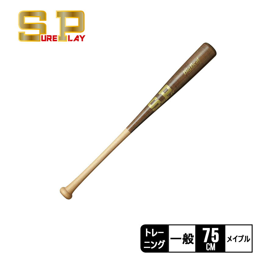 楽天市場】【さらにP20倍☆SALE】シュアプレイ レベルスイング