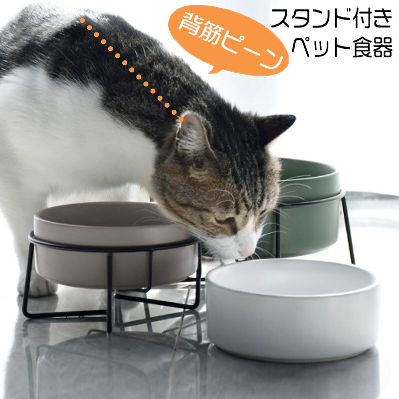 楽天市場】\400円OFF/ 猫 餌入れ 犬 餌台 エサ入れ ねこ 食器 フード